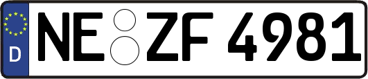 NE-ZF4981