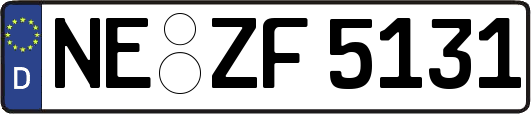 NE-ZF5131
