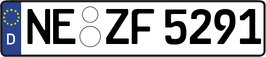 NE-ZF5291