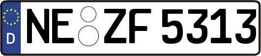 NE-ZF5313