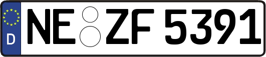 NE-ZF5391