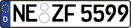 NE-ZF5599