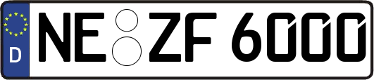 NE-ZF6000