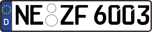 NE-ZF6003