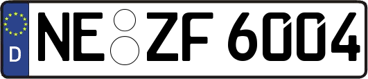 NE-ZF6004