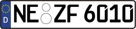 NE-ZF6010