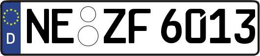 NE-ZF6013