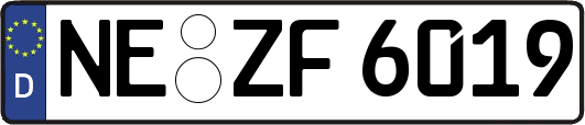 NE-ZF6019