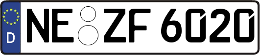 NE-ZF6020