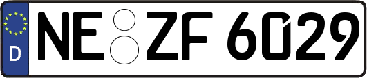 NE-ZF6029