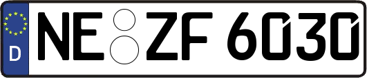 NE-ZF6030