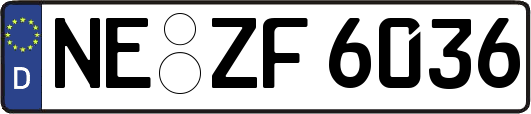 NE-ZF6036