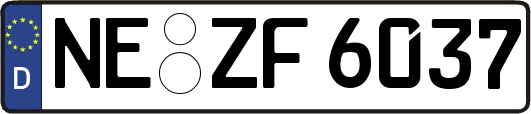 NE-ZF6037