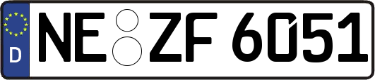 NE-ZF6051