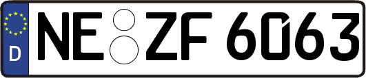 NE-ZF6063