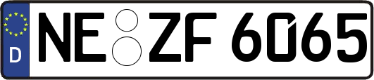 NE-ZF6065