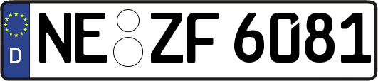 NE-ZF6081