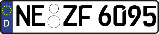 NE-ZF6095