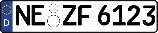 NE-ZF6123