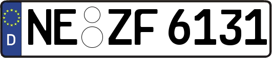 NE-ZF6131