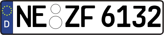 NE-ZF6132