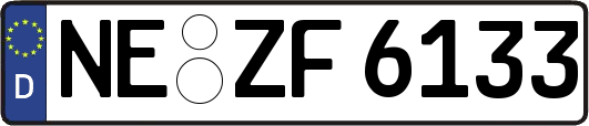 NE-ZF6133