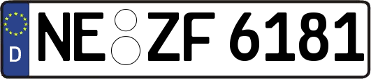 NE-ZF6181