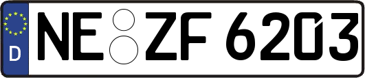 NE-ZF6203