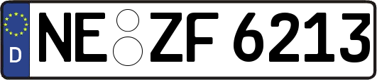 NE-ZF6213