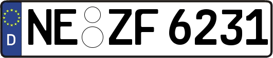 NE-ZF6231
