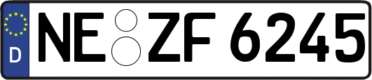 NE-ZF6245