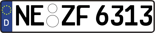 NE-ZF6313