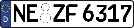 NE-ZF6317