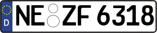 NE-ZF6318