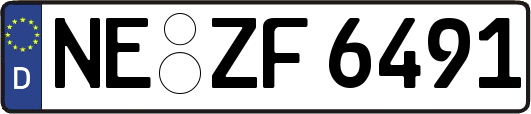 NE-ZF6491