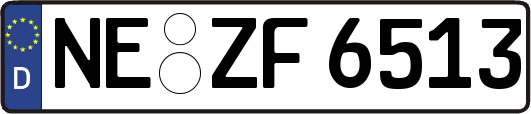 NE-ZF6513
