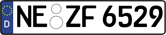 NE-ZF6529