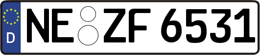 NE-ZF6531