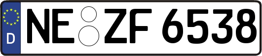 NE-ZF6538