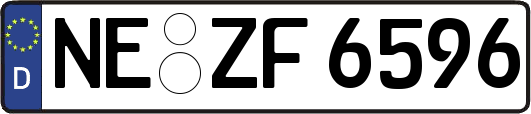 NE-ZF6596