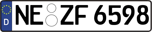 NE-ZF6598