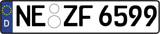 NE-ZF6599