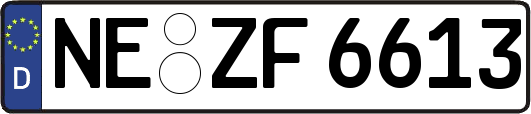 NE-ZF6613