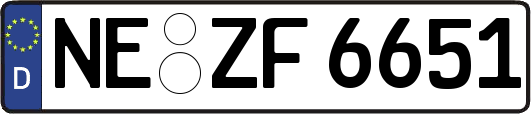 NE-ZF6651