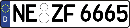 NE-ZF6665