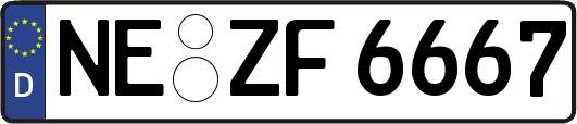 NE-ZF6667