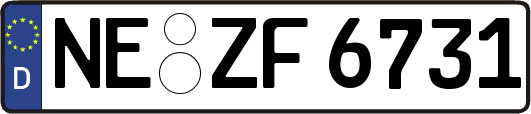 NE-ZF6731