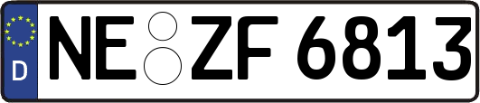 NE-ZF6813