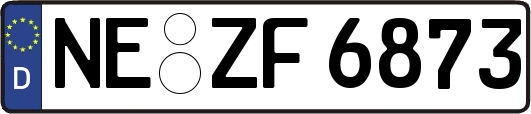 NE-ZF6873
