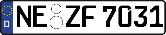 NE-ZF7031